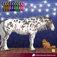 Horse Color:White Spotted Silver Brown Appaloosa Rabicano 