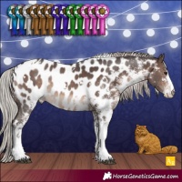 Horse Color:White Spotted Silver Brown Appaloosa Rabicano 