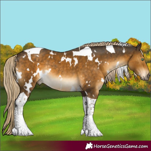 Horse Color:White Spotted Chocolate Palomino Mushroom Tobiano Rabicano