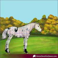Horse Color:Watercolor Plaid White Spotted Silver Bay Ice Onyx