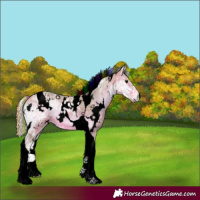 Horse Color:Void Painted Watercolor White Spotted Silver Bay Ice Onyx Tobiano 