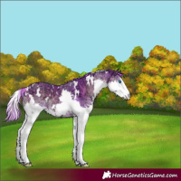 Horse Color:Watercolor White Spotted Red Onyx Ice Splash
