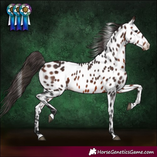 Horse Color:Brown Near Leopard 