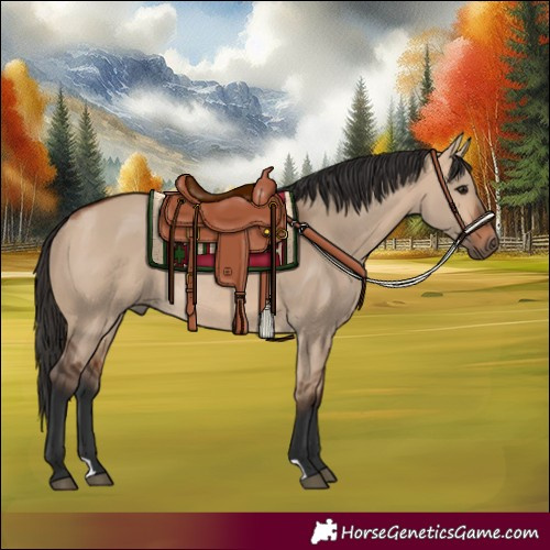 Horse Color:Bay Dun Rabicano 