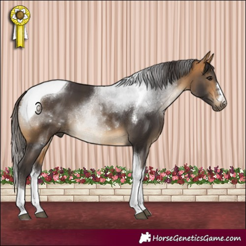 Horse Color:Buckskin Tobiano 