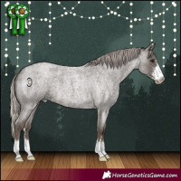 Horse Color:Silver Blue Roan Sabino
