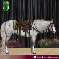 Horse Color:Silver Blue Roan Sabino 