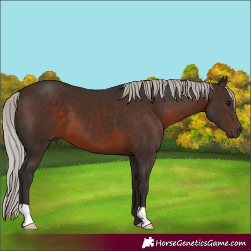 Horse Color:Silver Brown 