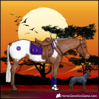 Horse Color:Silver Bay Near Fewspot