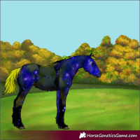 Horse Color:ERROR: UNKNOWN ANOMALY