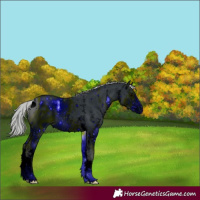 Horse Color:ERROR: UNKNOWN ANOMALY