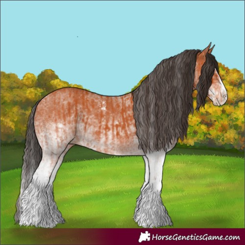 Horse Color:White Spotted Bay Splash and White Spotted Bay Splash