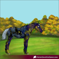 Horse Color:ERROR: UNKNOWN ANOMALY