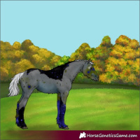 Horse Color:ERROR: UNKNOWN ANOMALY