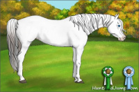 Horse Color:White Spotted Blue Roan Splash Frame Appaloosa