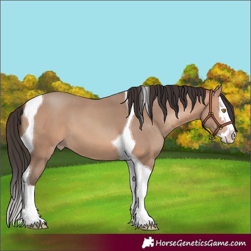 Horse Color:Amber Champagne Splash Tobiano 