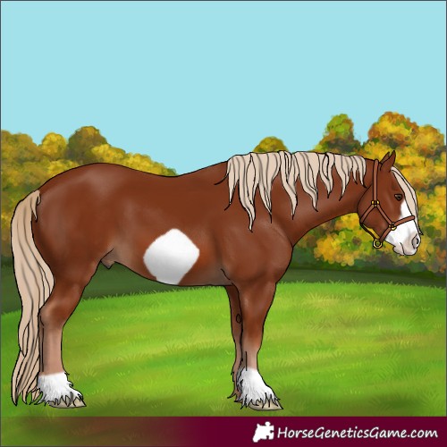 Horse Color:Chestnut Frame