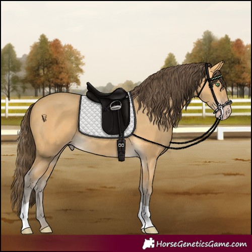 Horse Color:Amber Cream Champagne 