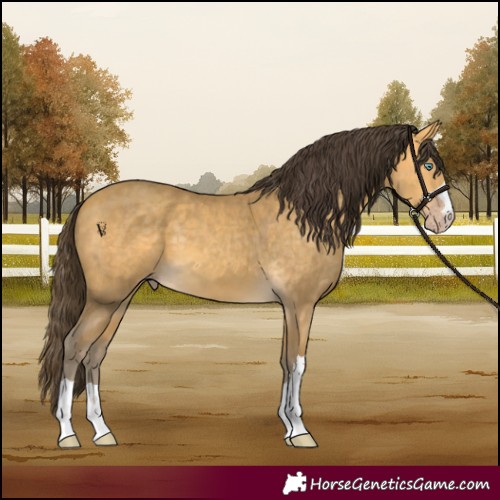 Horse Color:Amber Cream Champagne 