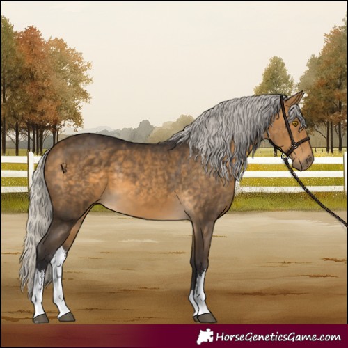 Horse Color:White Spotted Silver Buckskin 
