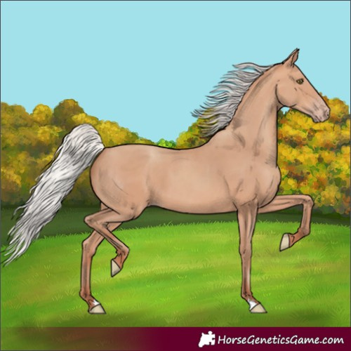 Horse Color:Silver Sable Champagne 