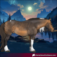 Horse Color:Buckskin Tobiano