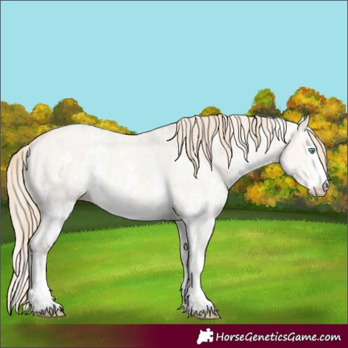 Horse Color:Perlino Dun Sabino and Perlino Dun Sabino