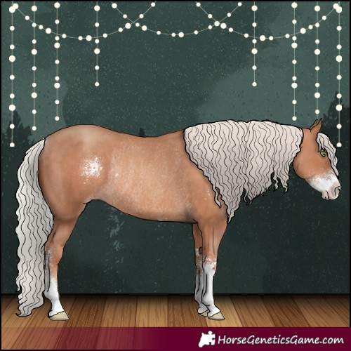 Horse Color:Silver Sable Champagne Sabino Rabicano 