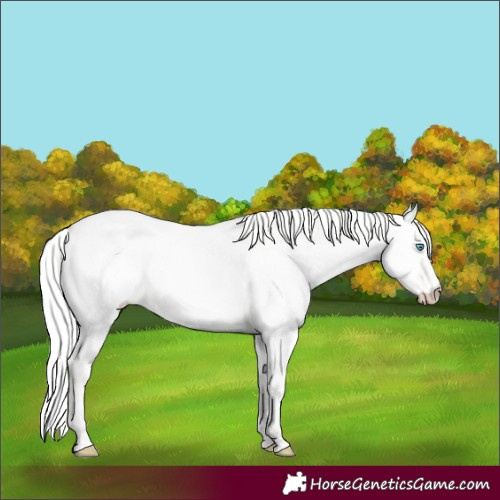 Horse Color:Silver Perlino Dun 