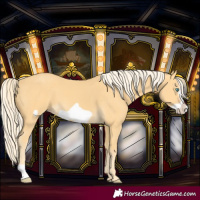 Horse Color:Gold Cream Champagne Frame 
