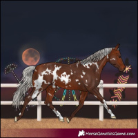 Horse Color:White Spotted Silver Bay 
