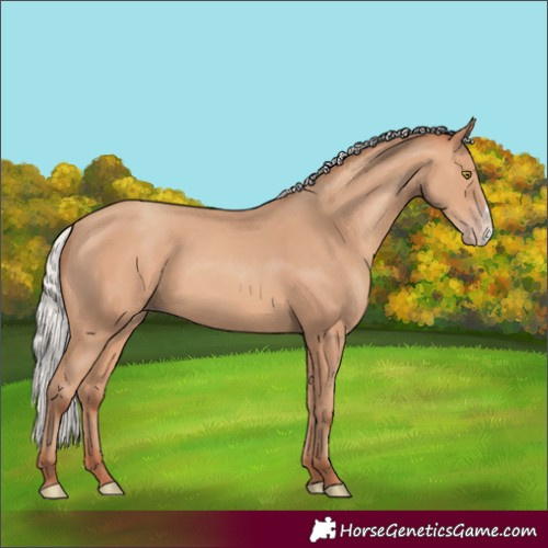 Horse Color:Silver Amber Champagne Frame