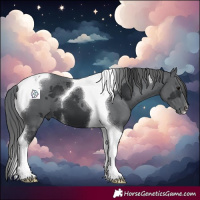 Horse Color:Black Merle Tobiano 