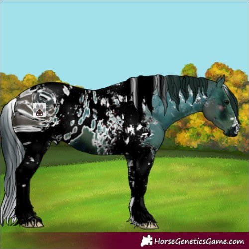 Horse Color:ERROR: UNKNOWN ANOMALY