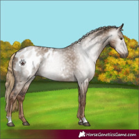 Horse Color:Gray Liver Red Dun Blanket 