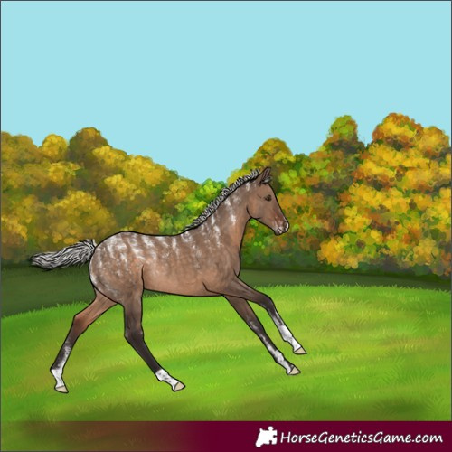 Horse Color:Powder White Silver Brown Dun Rabicano 