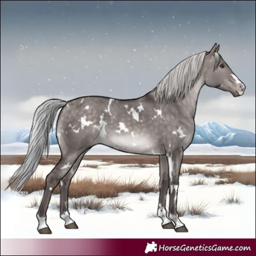 Horse Color:Platinum White Spotted Silver Bay Dun 
