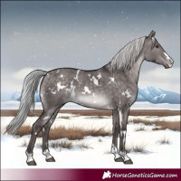 Horse Color:Platinum White Spotted Silver Bay Dun