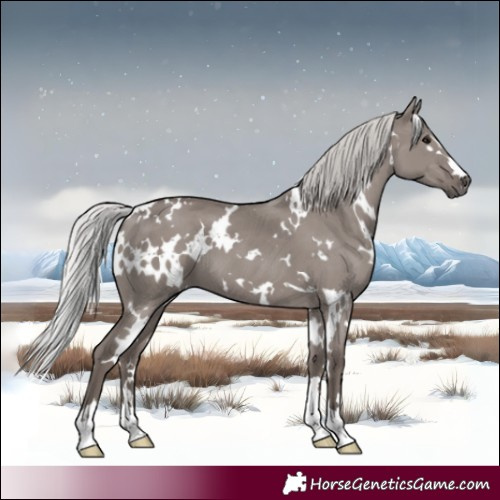 Horse Color:Platinum White Spotted Silver Grullo 