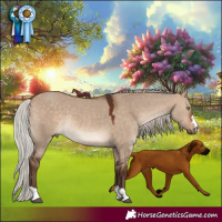 Horse Color:Silver Bay Dun Rabicano 