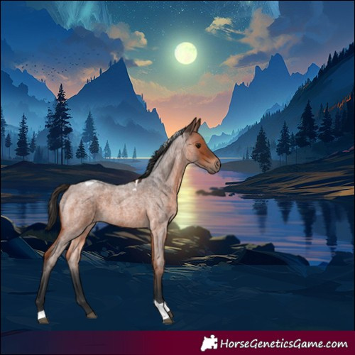 Horse Color:Brown Roan Tobiano 