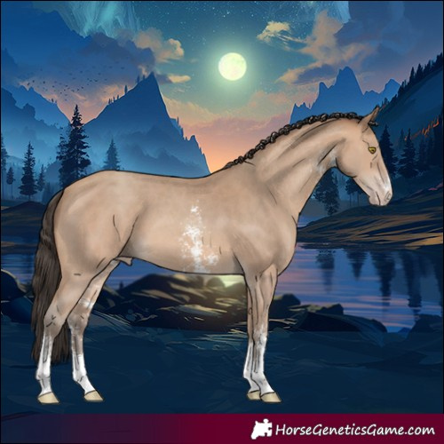 Horse Color:Amber Champagne Sabino 