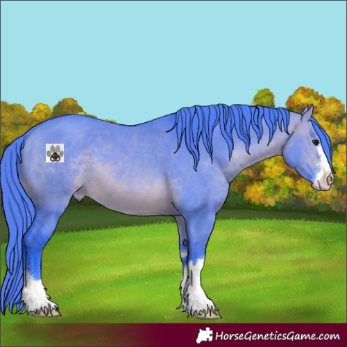 Horse Color:Watercolor Brown Dun Appaloosa