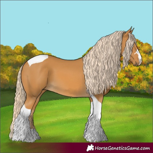Horse Color:Palomino Tobiano