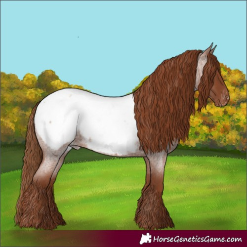 Horse Color:Red Roan Snowcap 