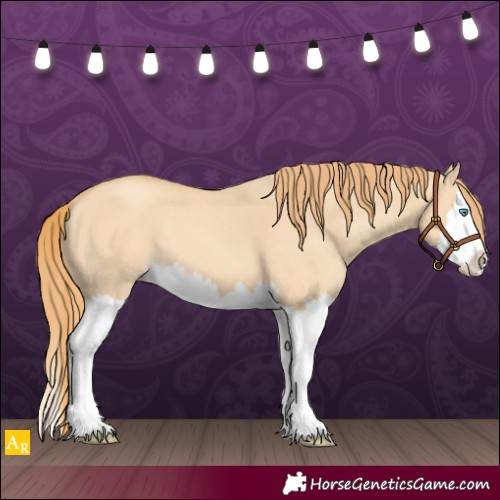 Horse Color:Gold Champagne Dun Splash 