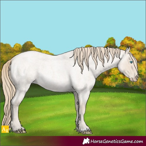 Horse Color:Smoky Creme Roan 