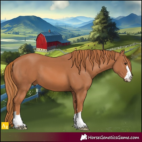 Horse Color:Chestnut 