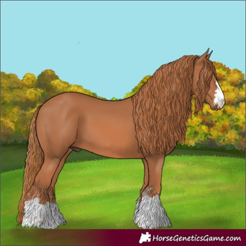 Horse Color:Chestnut 