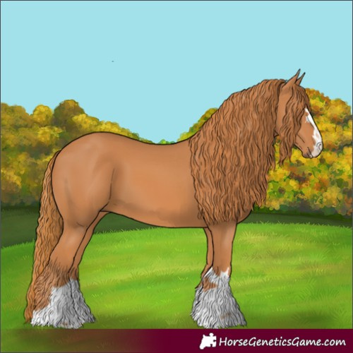Horse Color:Chestnut 